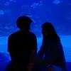 Couplevxsion