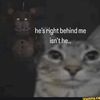 miserablekitcat
