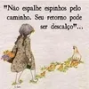 user6341366713048