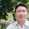hieu.phan6097