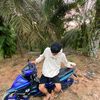 mx.bapak28
