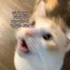 khoaa_zzz