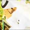 nabd__303
