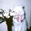 bub_bl3puff
