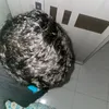 m_flx1