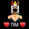 95timtim