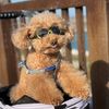 mit_0730