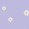 jaqueline_8930