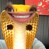 ngsucutes1tg