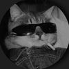 acatwithfuckinaviators