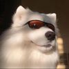 happypets85105