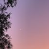 lou_lou673