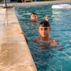 mustafam8155