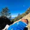 bijay_king0