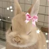 bunnhiuchut_1