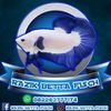 razik.betta.fisch
