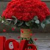safar_8519
