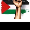 roniahmed3520