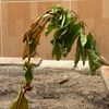 whereshouldileave0