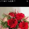 user9419224797919