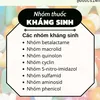 m.hng3813