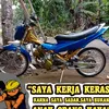 sury5241