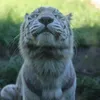 nezar_chammami