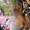 abdullah.jutt6041