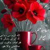 bajiparveen8