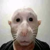ayranchikk3