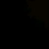 rofg_1