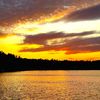kolekearney159