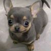 tuperritobesucon_