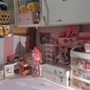 alika15284