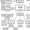 al.murady711