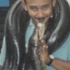 snakesyed