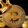 bitcoinmaxi00