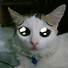 wartiyah.hariyant