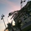 x_shahoda_3