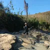 si..doan