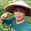 bang_arilsahabattani