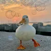duck3093
