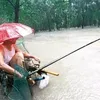 baobao_kaka