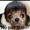 chipy_dale