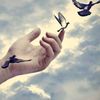 ramimessaoudi767