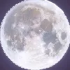 lasenzanome_12