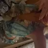 lexrobertsss
