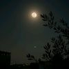 ward_14h