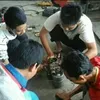 arifnadiaarida