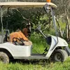 zkharr1304